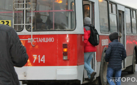 Ковровчанка отсудила у "троллейбусников" 25 000 рублей за то, что ее прищемили дверями