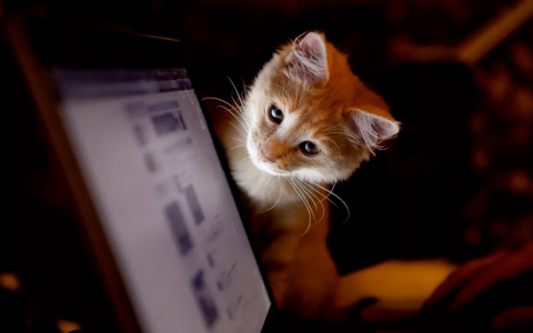 Во "ВКонтакте" разрешили редактировать личные сообщения, но с одним условием