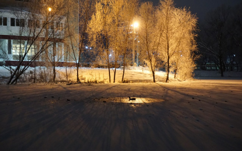 Владимирцы переживают за судьбу жирного селезня, который не может улететь на юг