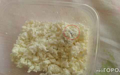 На прилавках владимирских магазинов мог оказаться творог с кишечной палочкой