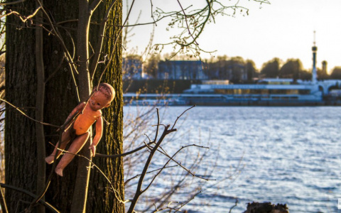 Житель Юрьев-Польского заманивал детей в дом под предлогом легкой работы и насиловал