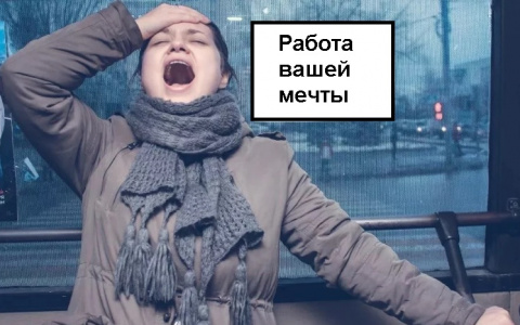 Топ редких и необычных вакансий, размещенных во Владимирском регионе