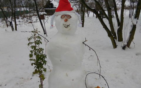 Как владимирцы проводят первые декабрьские выходные (фото)