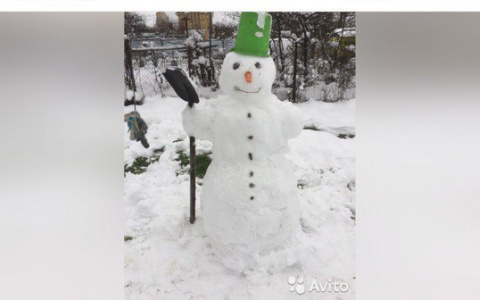 Отчаявшийся разбогатеть владимирец решил обменять снеговика на "Мерседес"