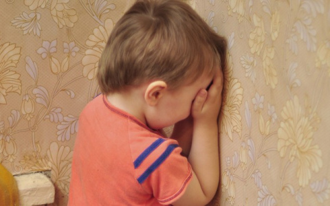 В одном из детских садов Владимира ребенок убежал во время прогулки