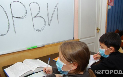 Из-за эпидемии ОРВИ во Владимирской области закрылись несколько школ