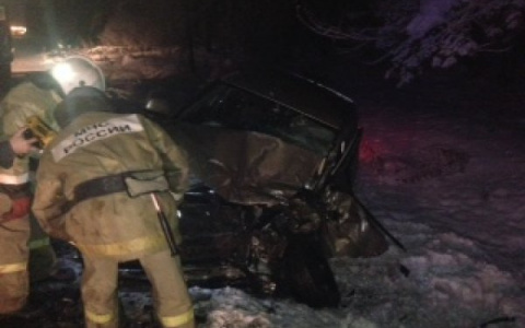 В ужасном ДТП на муромской трассе погиб водитель