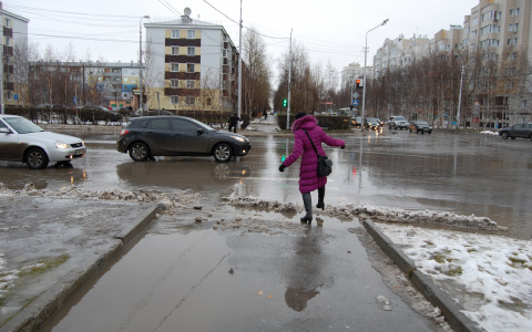 В середине декабря во Владимир придет весенняя оттепель