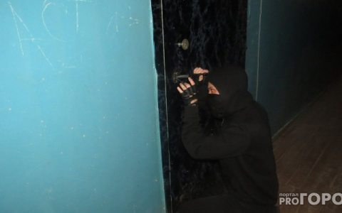 Житель Покрова украл у своего соседа входную дверь