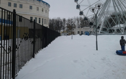 Воришка, укравший гирлянду в Центральном парке, раскаялся спустя неделю