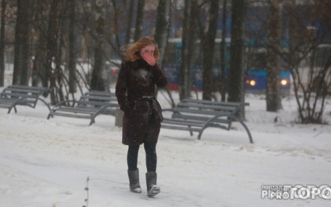 В середине недели во Владимир вернется снег