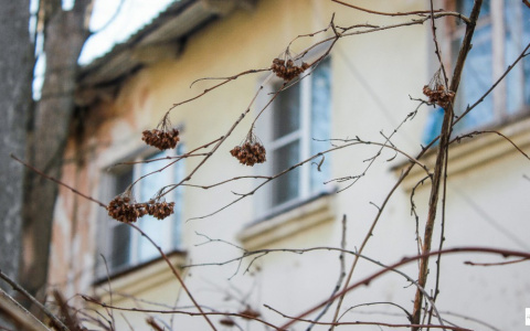 В выходные во Владимир вернется зима и выпадет снег