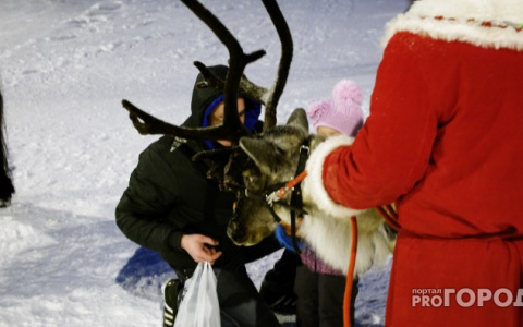 Жителей Владимира просят остерегаться некоторых Дедов Морозов