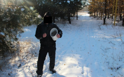 В Муроме озверевший грибник набросился с ножом на своего приятеля