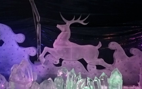 Владимирский скульптор Илья Шанин удивил питерцев ледяными оленями (фото)