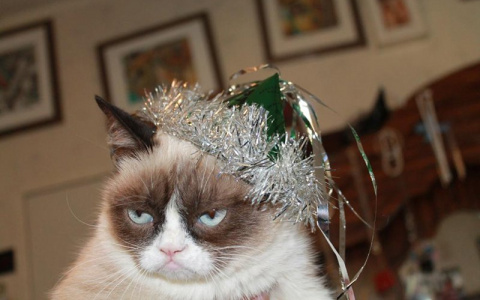 С каждым днем во Владимире будет теплеть все больше