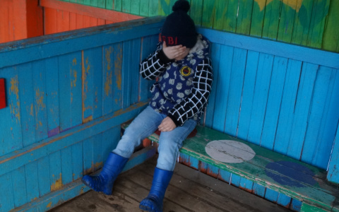 Дед Мороз на бесплатной "елке" довел маленьких гостей до истерики