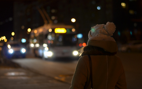 Учительница 40 школы Владимира забыла детей на остановке после "елки"