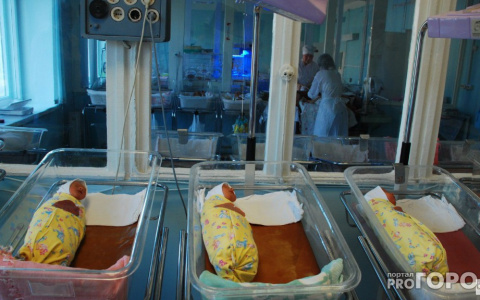 В каникулы на свет во владимирских роддомах появились 2,5 сотни младенцев