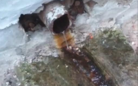 На улице Завадского во Владимире текут фекальные реки