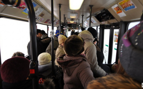 Литературный автобус прокатится по Владимиру