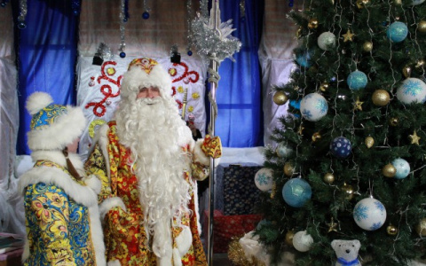 Психологи рассказали, когда лучше убирать новогодние елки