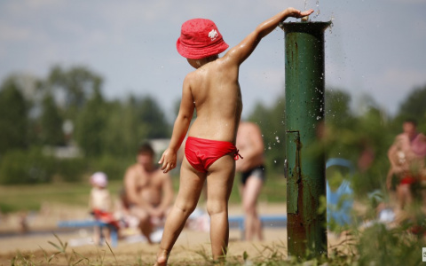 2017 год вошел в тройку самых жарких за всю историю планеты