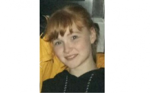 Во Владимирской области пропала 15-летняя девочка