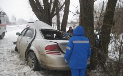 День жестянщика в 33 регионе: на заснеженной дороге в Муромском районе легковушка улетела в кювет