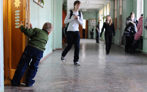 После происшествий в Перми и Бурятии владимирских школьников возьмут под эмоциональный контроль