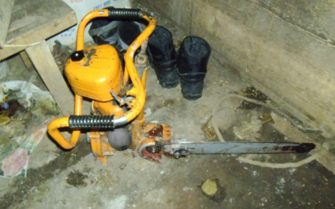 Кольчугинец отправляется в тюрьму за попытку разрубить пополам свою жену