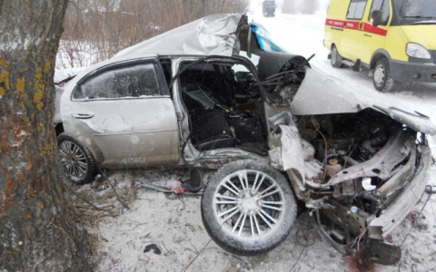 Во Владимирской области в ДТП погибли 7 человек