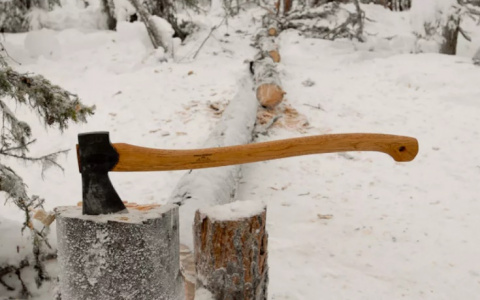Житель Собинки убил жену поленом и ушел в лес, чтобы замерзнуть и умереть в сугробе