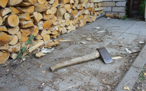 Судогодец незаконно вырубал деревья по документам мертвой женщины