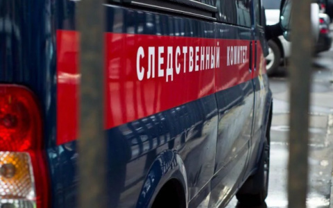 Стало известно, кто совершил чудовищное убийство в Коврове