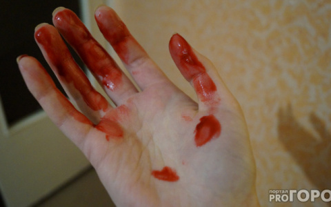 Жительница Владимира хладнокровно зарезала мужа, пока он спал