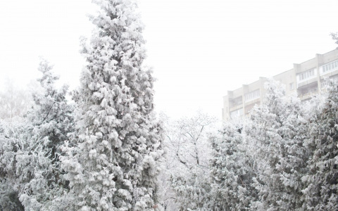 В выходные во Владимире станет немного теплее