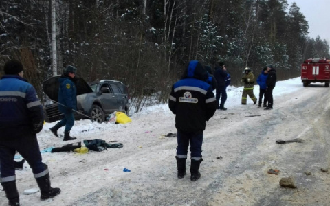 В Гусь-Хрустальном семья попала в смертельное ДТП