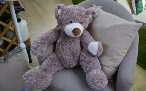 В Муроме девушка украла из арендованного дома плюшевого мишку и фен