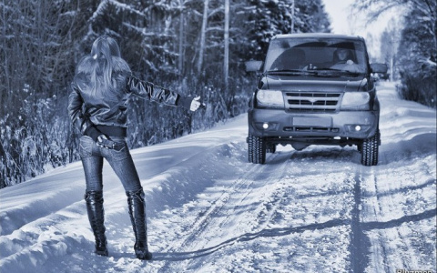 Жительница Владимира удивила странным поступком своего попутчика