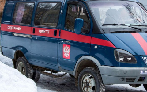 СледКом проведет проверку по случаю смерти многодетной матери в Петушках