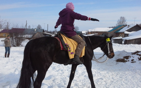 Автомобилист подал в суд на лошадь и ее хозяйку, спровоцировавших ДТП под Суздалем