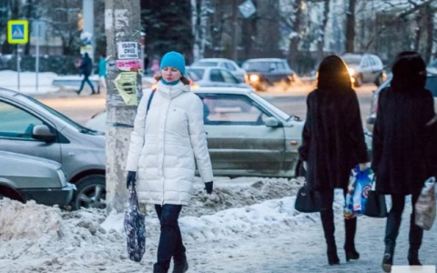 Первые дни февраля удивят владимирцев заморозками и дождями