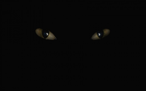 Эксперт прокомментировал появление чупакабры под Муромом