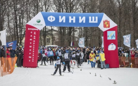 Владимирцев приглашают принять участие в лыжной гонке