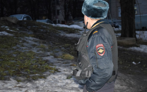 В Муроме была совершена самая странная кража из авто