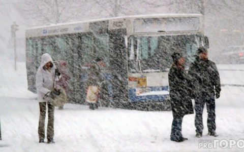 Владимирцев ожидают очень снежные выходные