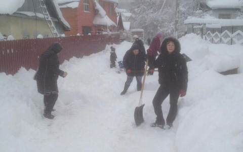 Утопающие в снегу владимирцы провели вынужденный флешмоб с лопатами