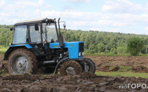 Пахари со всего мира съедутся в Суздаль чтобы "дать жару"