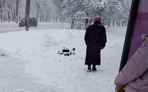 Владимирцы обнаружили заснеженный труп прямо на остановке